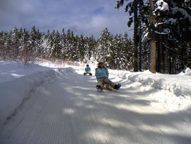 Rodeln im Winter